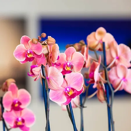 Отель Le Torri Del Garda Familyspa