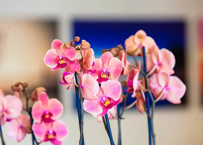 Hotel Le Torri Del Garda Familyspa