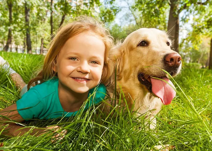 Hotel Le Torri Del Garda Familyspa Torri Del Benaco